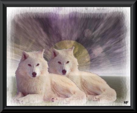 mes loups